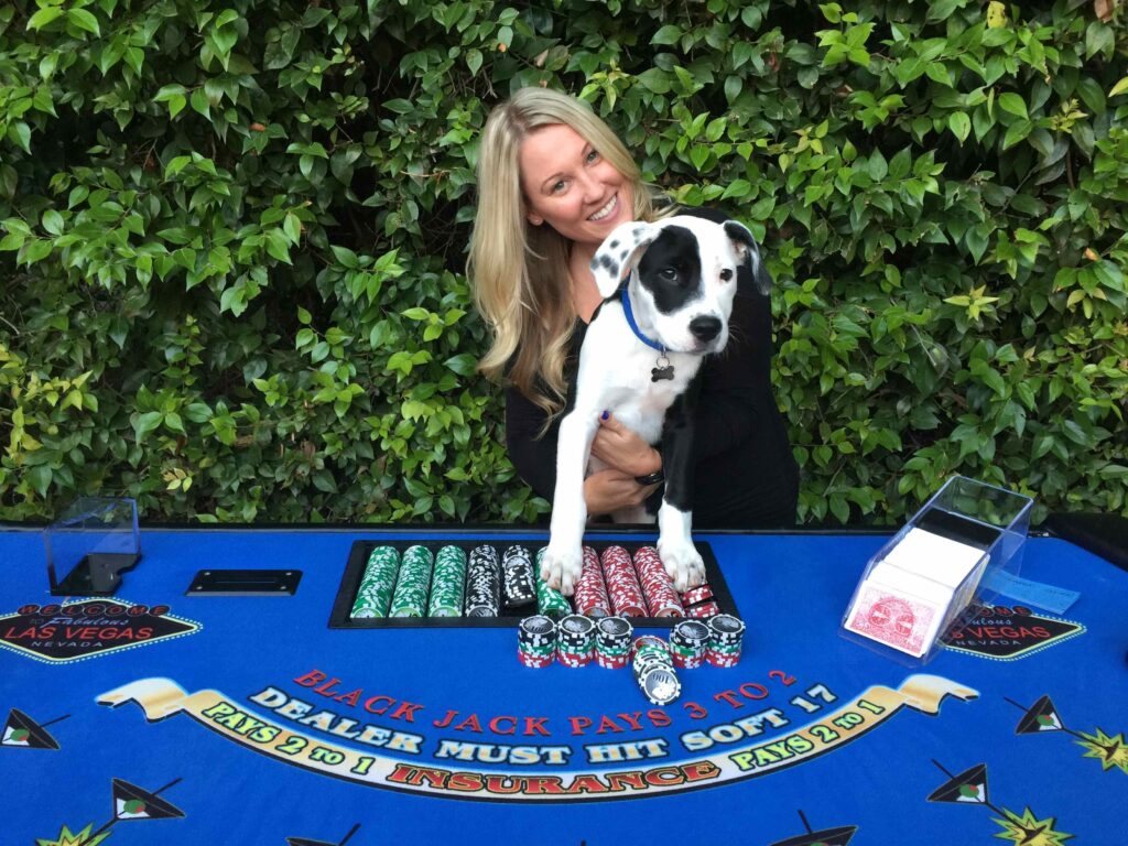 Blackjack Table